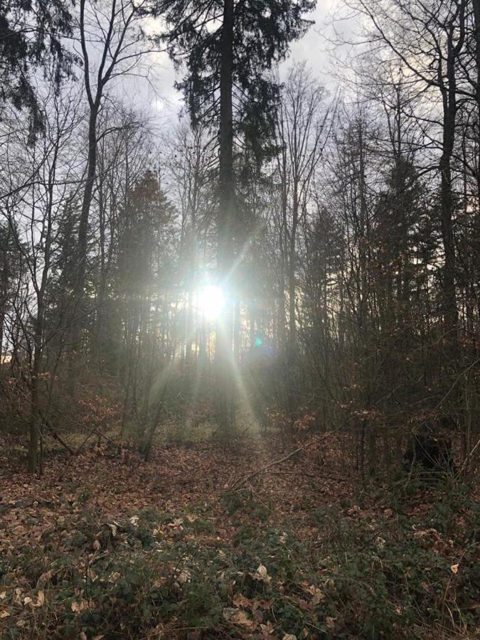 Serways Hotel Spessart Rohrbrunn Dış mekan fotoğraf